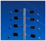 Cercas Elétricas em Paranaguá
