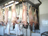 Frigoríficos em Paranaguá