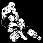 Jiu Jitsu em Paranaguá