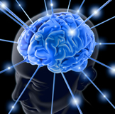 Neurologia e Neurologistas em Paranaguá