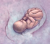 Obstetras e Obstetrícia em Paranaguá